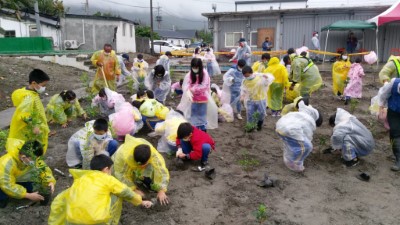 為下一代種樹 打造2618保安林綠色永續生活